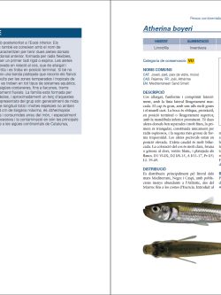 Peixos continentals de Catalunya sample page